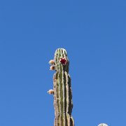 Baja2011 1023 : Baja2011